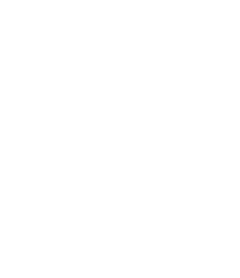 Official Realtor Logo